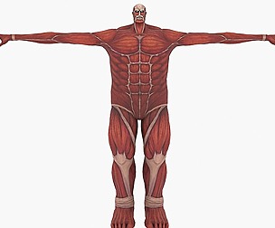 Colossal Titan