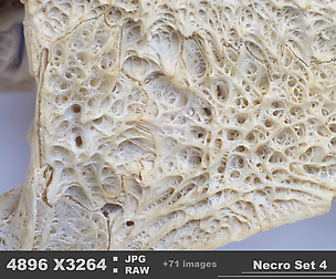 Riddler_Necro_Set4