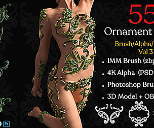 55 Ornament Brushes + 3D Model + IMM Brush Vol 03