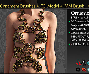 50 Ornament Brushes + 3D Model + IMM Brush Vol 02