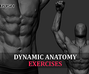 Anatomy Excercises - Project Files & RAW FOOTAGE