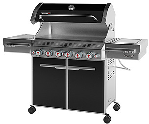 Outdoor gas grill