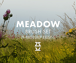 Meadow Brush Set