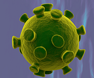 Coronavirus CNN 2019-nCoV