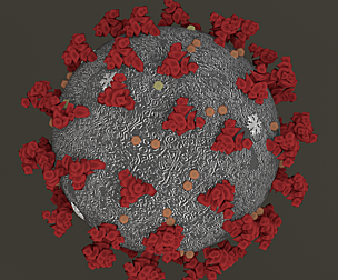 Coronavirus 2019-nCoV