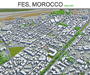 Fes Morocco city 3d  model 40 km