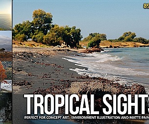 890+ Tropical Sights Reference Pictures