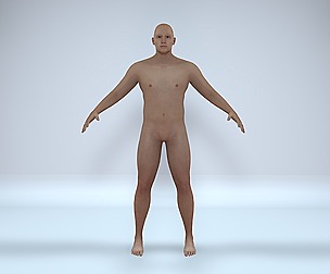 Realistic 3d model male with rigging