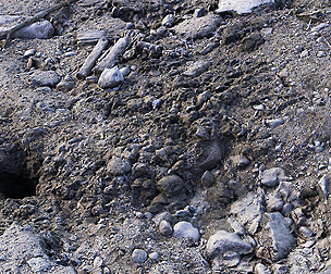PBR Trash Ground - 8K Textures