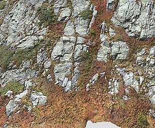 Mountain Cliff Slab Alps Scan PBR