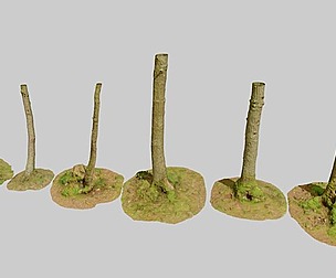 Oak Tree Small Forest Scan Trunk Pack PBR