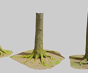 Oak Tree Big Forest Scan Trunk Pack PBR