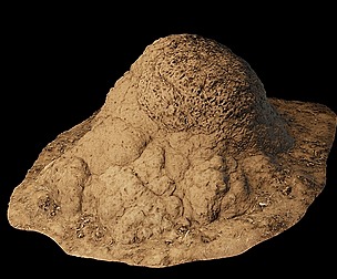 Termite Mounds - Vol 1 [UE4][Unity][Source]