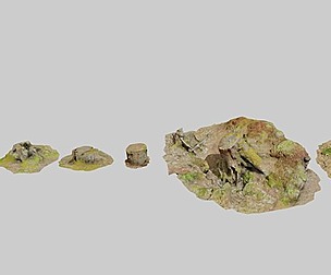 Tree Stump Scan Collection PBR