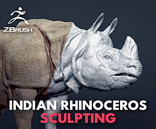 Indian Rhinoceros – Sculpt