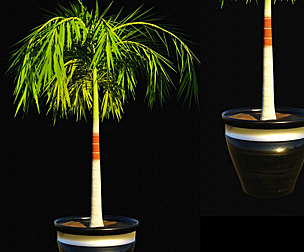 Potted Palm tree Animated and Rigged