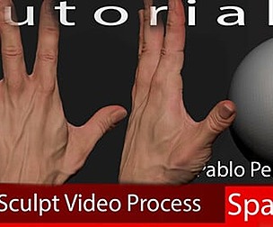 Neutral Hand Tutorial