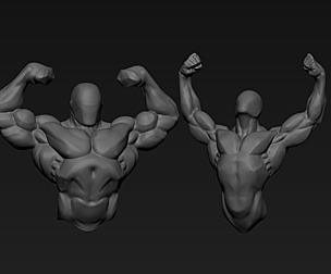 two anatomy study sketch