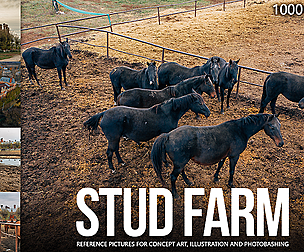 1000+ Stud Farm Reference Pictures