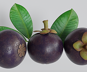 Realistic Mangosteen