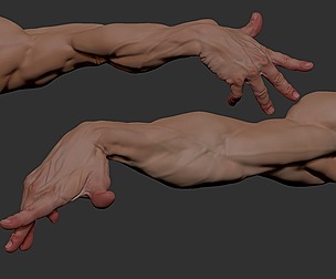Arms Gesture4