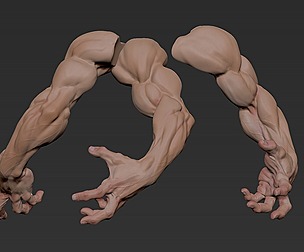 Arms Gesture1