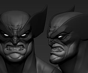 Wolverine Head