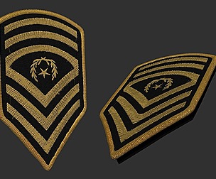 Army Patch 4