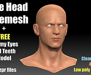 Male Head Basemesh