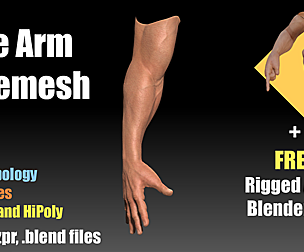 Male Arm Basemesh