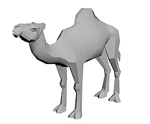 camel