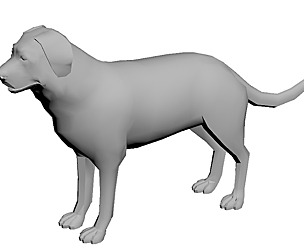 Dog low poly
