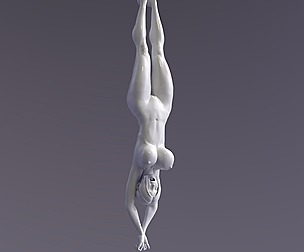 Christmas bdsm decoration 3d printable