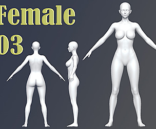 Female 03 Base Mesh