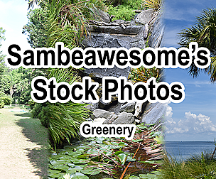 Stock Pack: Greenery