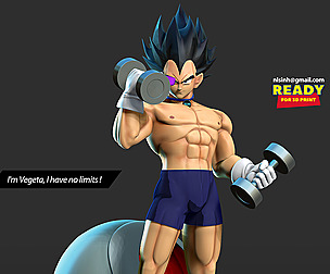 Vegeta with gym