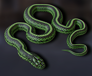 Green Snake - Animated