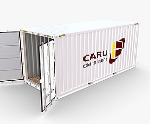 20ft Shipping Container Caru v1