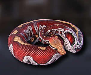 Blood Python - Animated