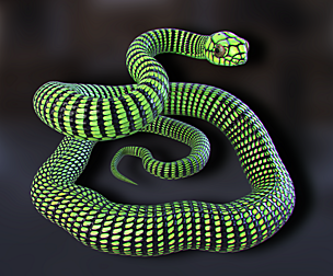Boomslang Snake - Animated