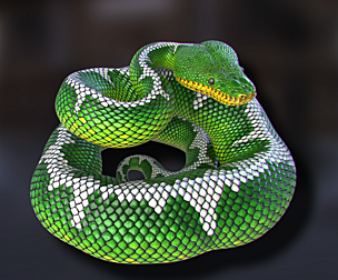 Emerald Tree Boa - Animated