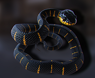 Mangrove Snake - Animated