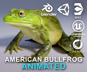 American Bullfrog - Animated