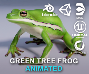 American Green Tree Frog - Animated