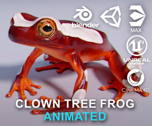 Clown Tree Frog - Animated