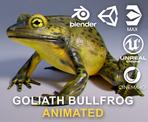 Goliath Bullfrog - Animated