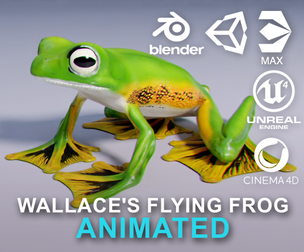 Wallace's Flying Frog - Animated