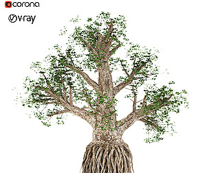 Rooty tree