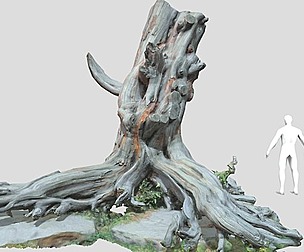 PBR Tree Stump Dead Old Photoscan 3D model