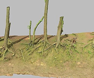 PBR Slope Tree Roots Dirt Moss Scanned